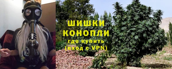 спиды Михайлов