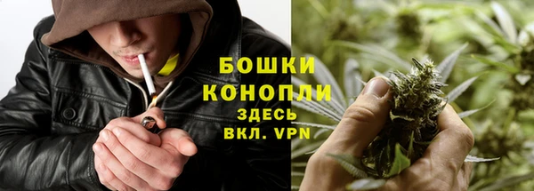 ешки Алзамай