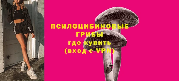 спиды Михайлов
