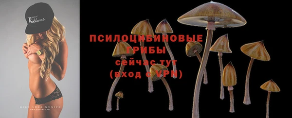 марки lsd Михайловск