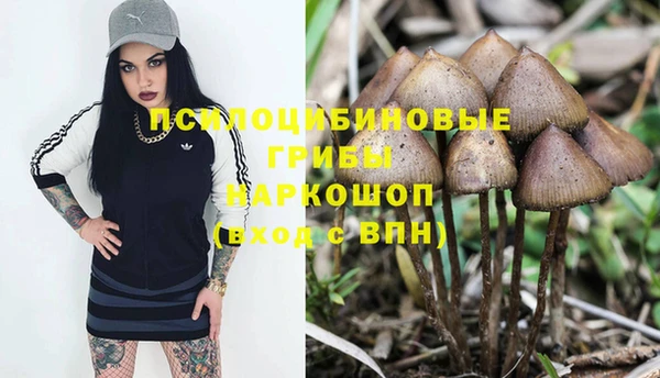 дмт Сатка