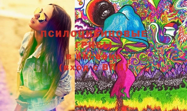 стаф Михайловка