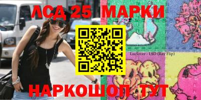 эйфоретик Берёзовский