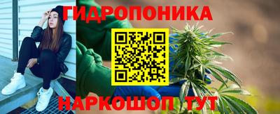 эйфоретик Берёзовский