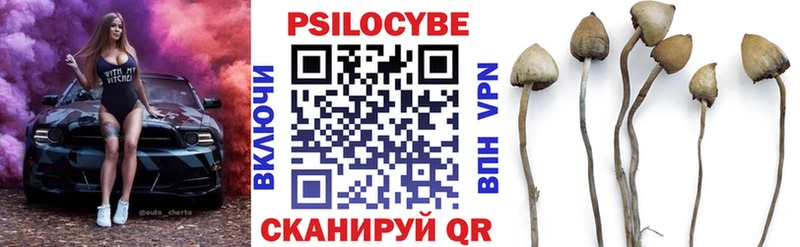 магазин    Тында  Псилоцибиновые грибы Magic Shrooms 