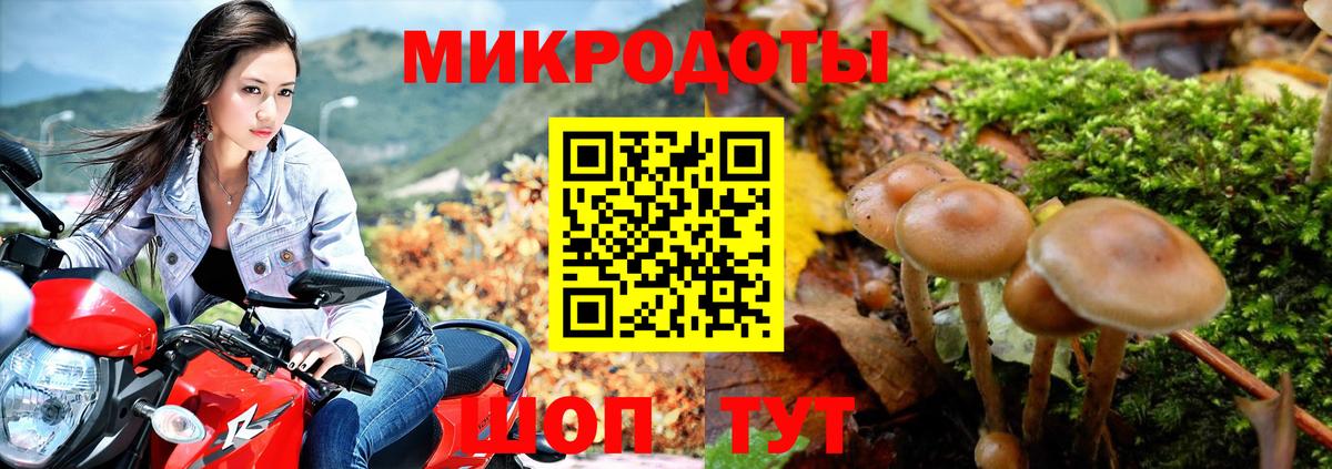 Галлюциногенные грибы ЛСД Тында